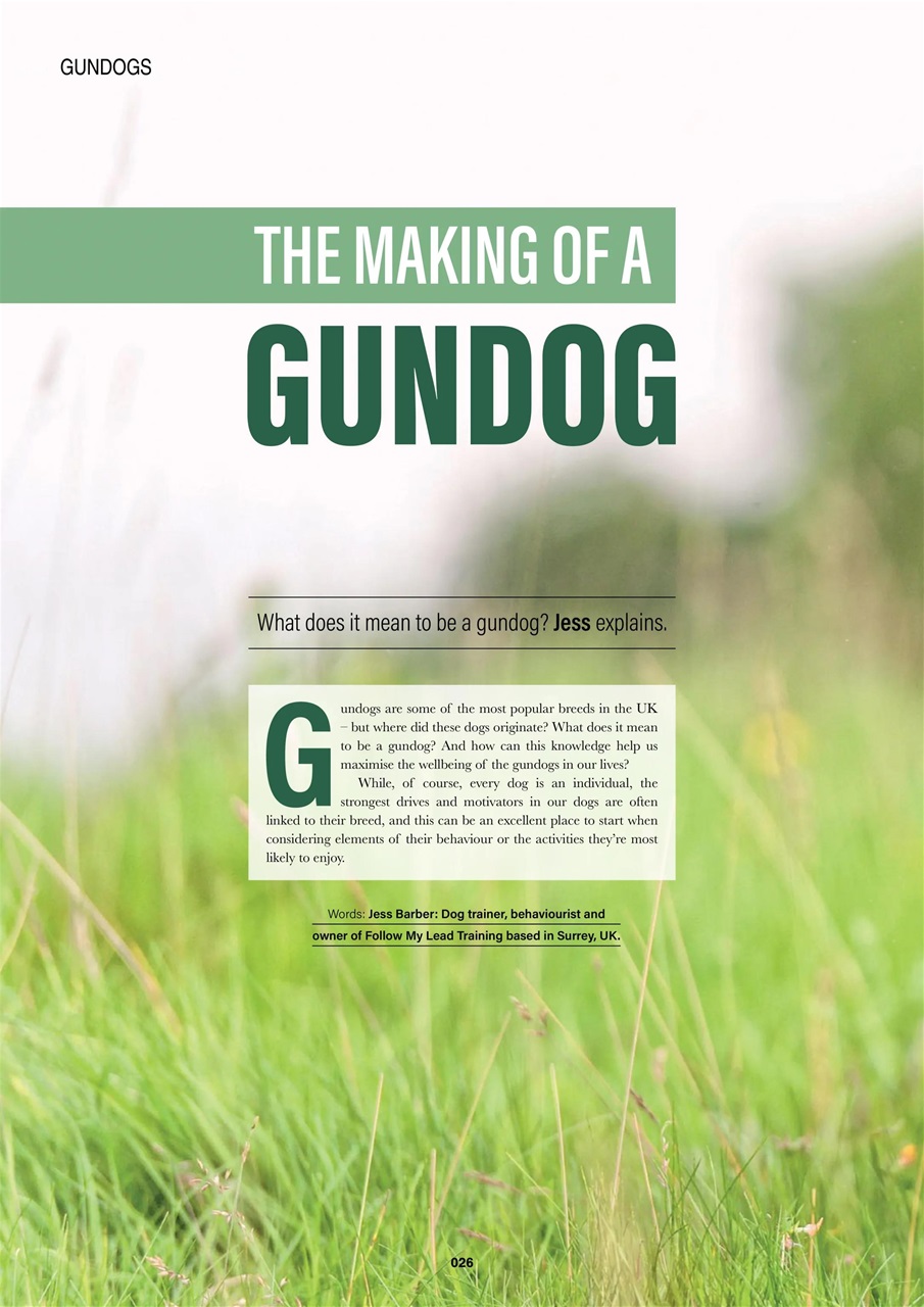 Edition Dog Preview Pages
