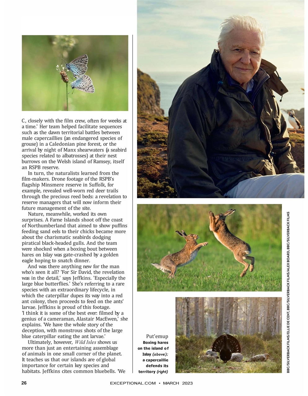 Saga Magazine Preview Pages