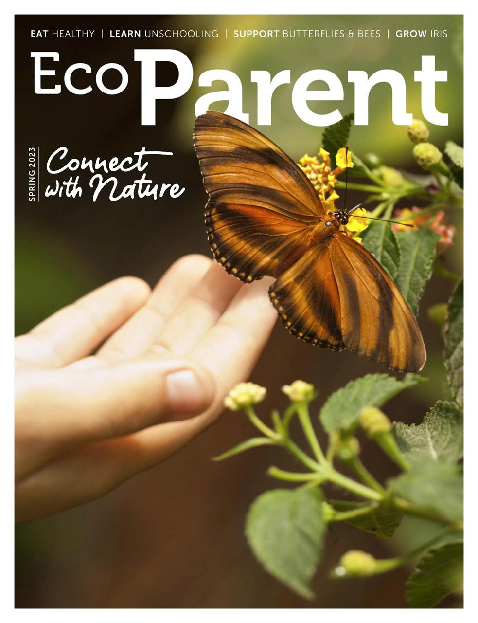 Ecoparent Magazine Preview Pages