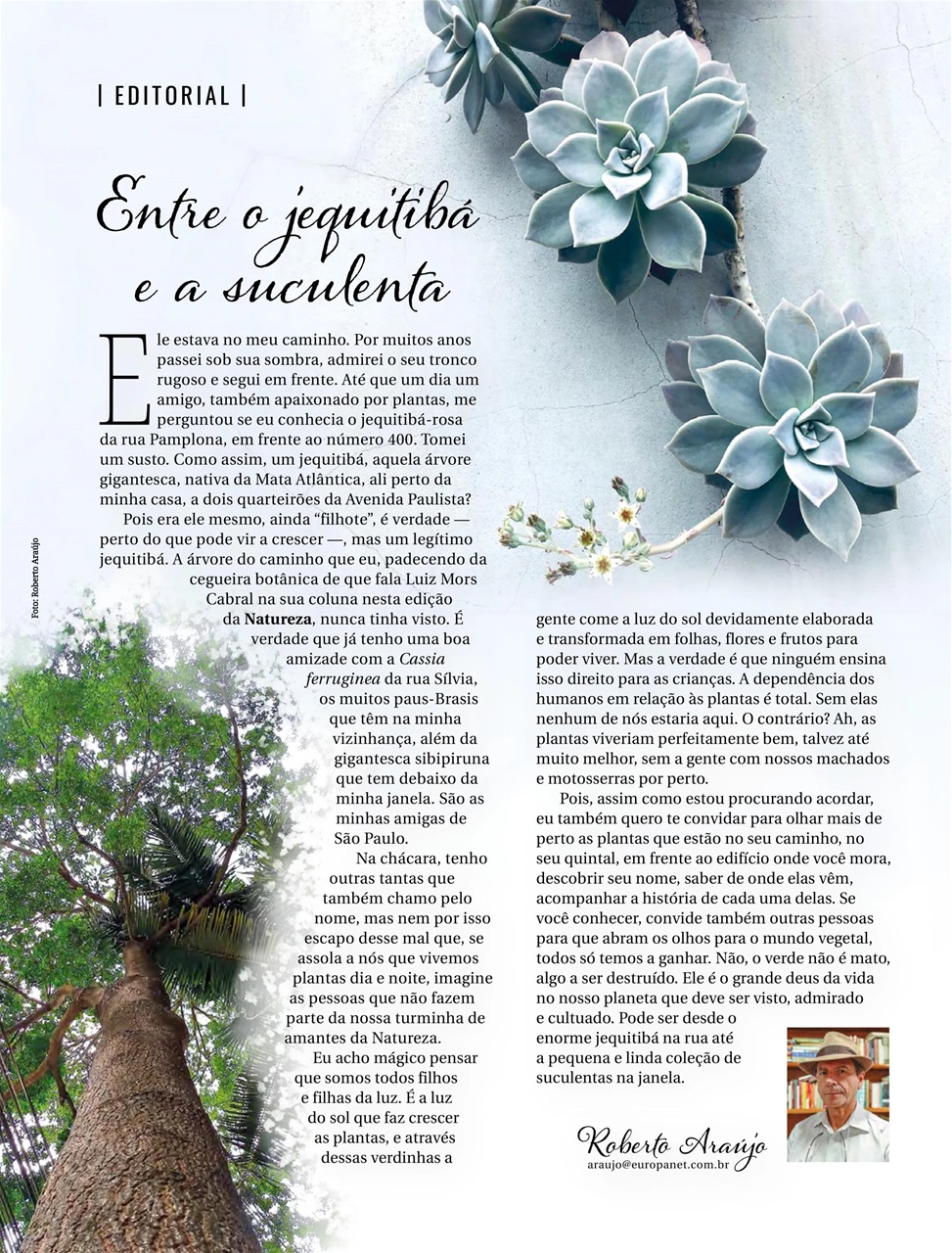 Natureza Preview Pages