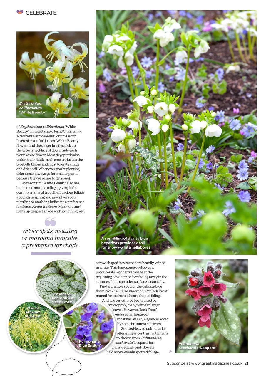 Garden Answers Preview Pages