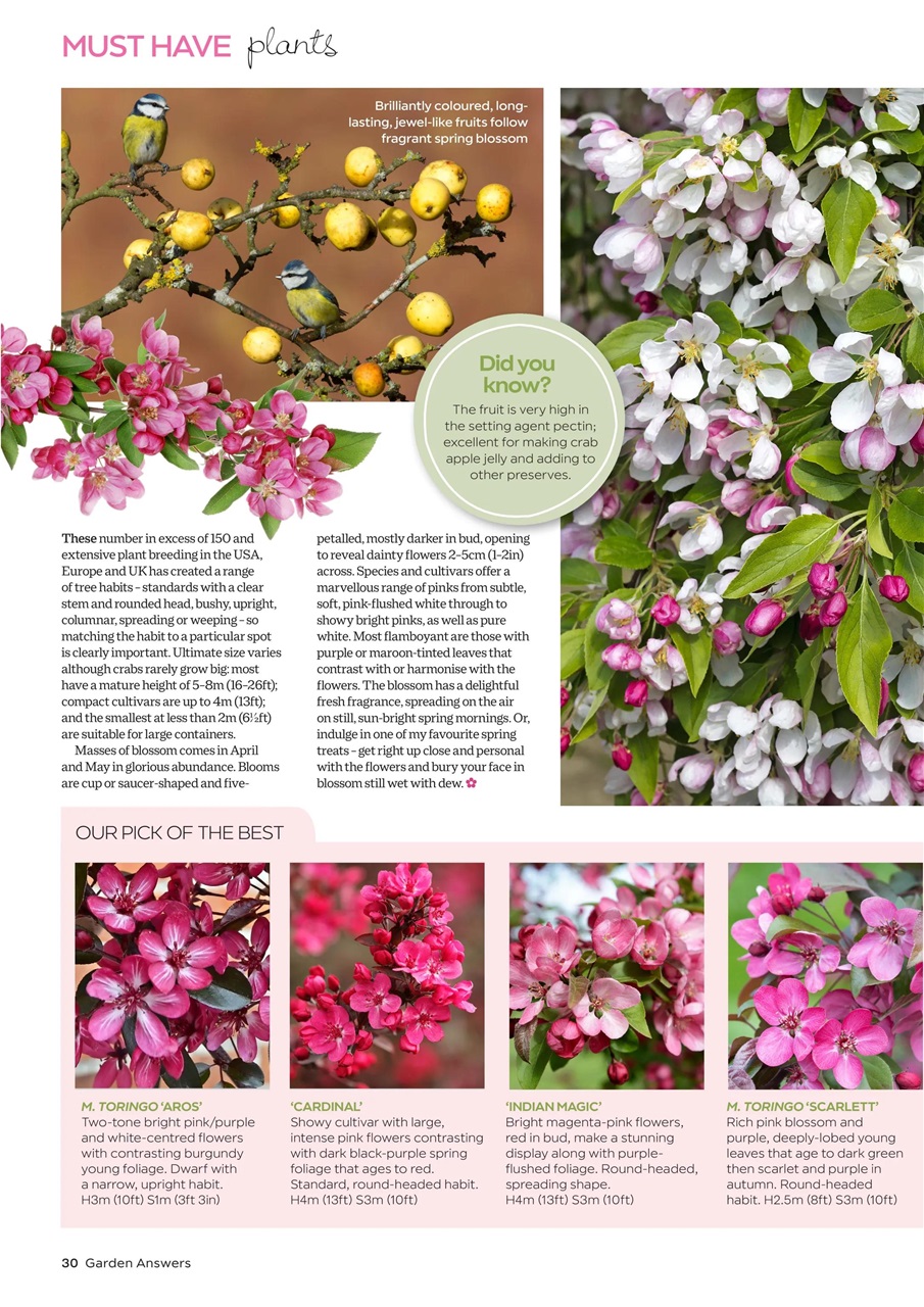 Garden Answers Preview Pages