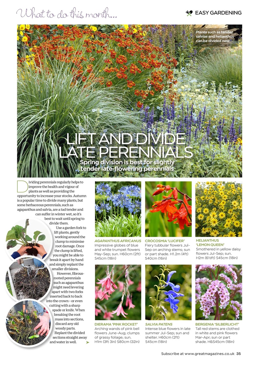 Garden Answers Preview Pages