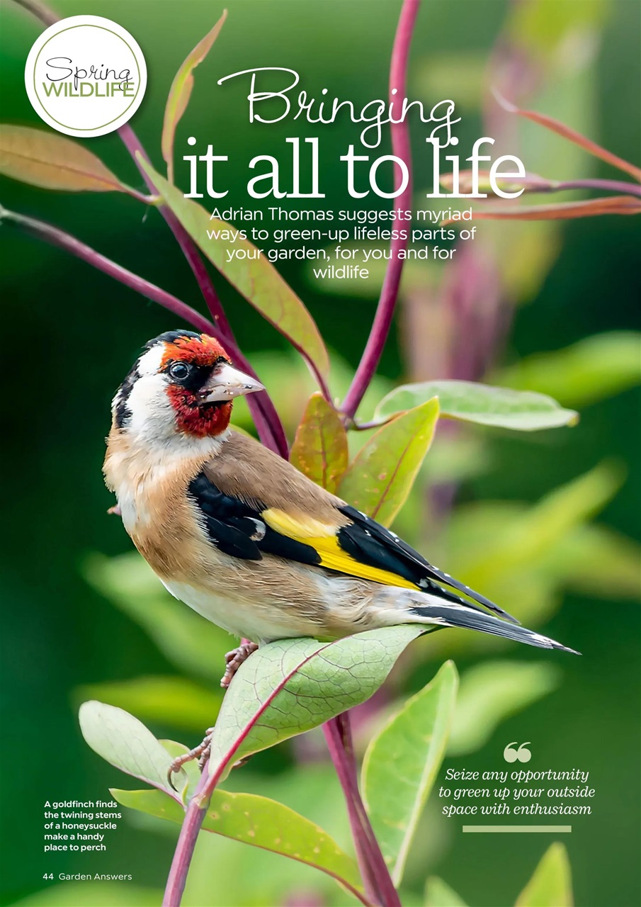 Garden Answers Preview Pages