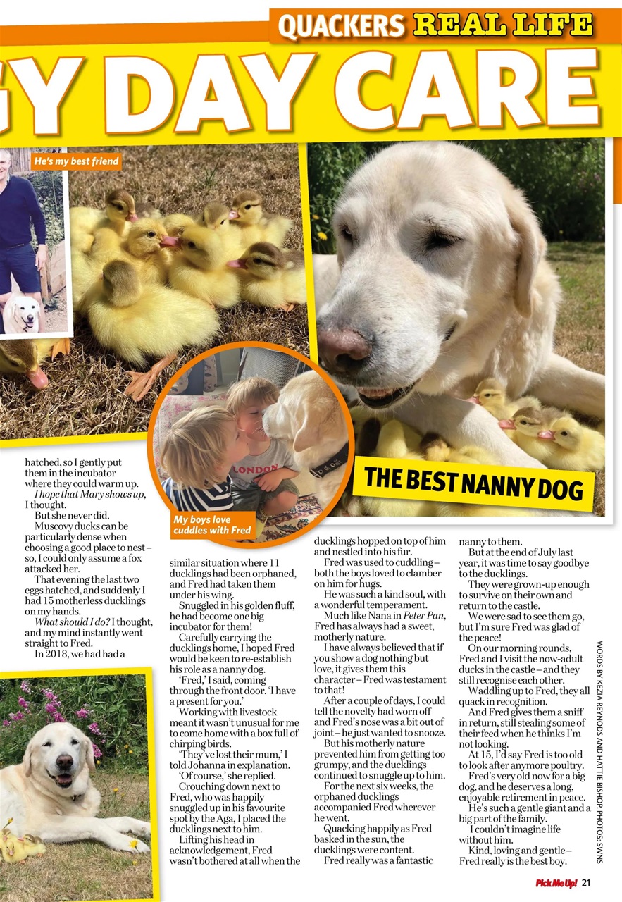 Pick Me Up Preview Pages