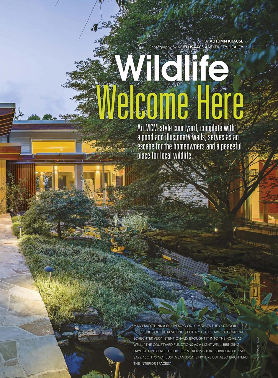 Atomic Ranch Preview Pages