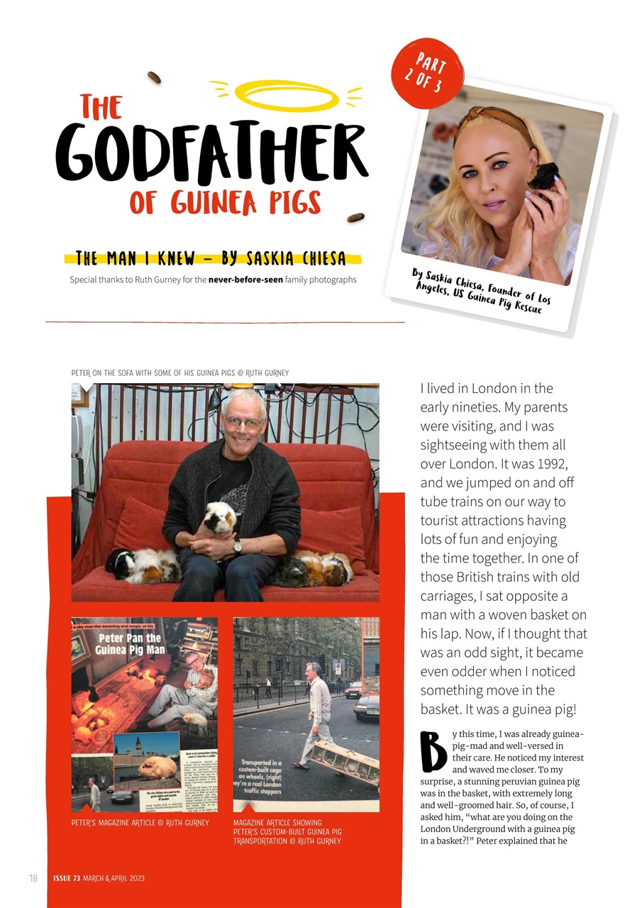 Guinea Pig Magazine Preview Pages
