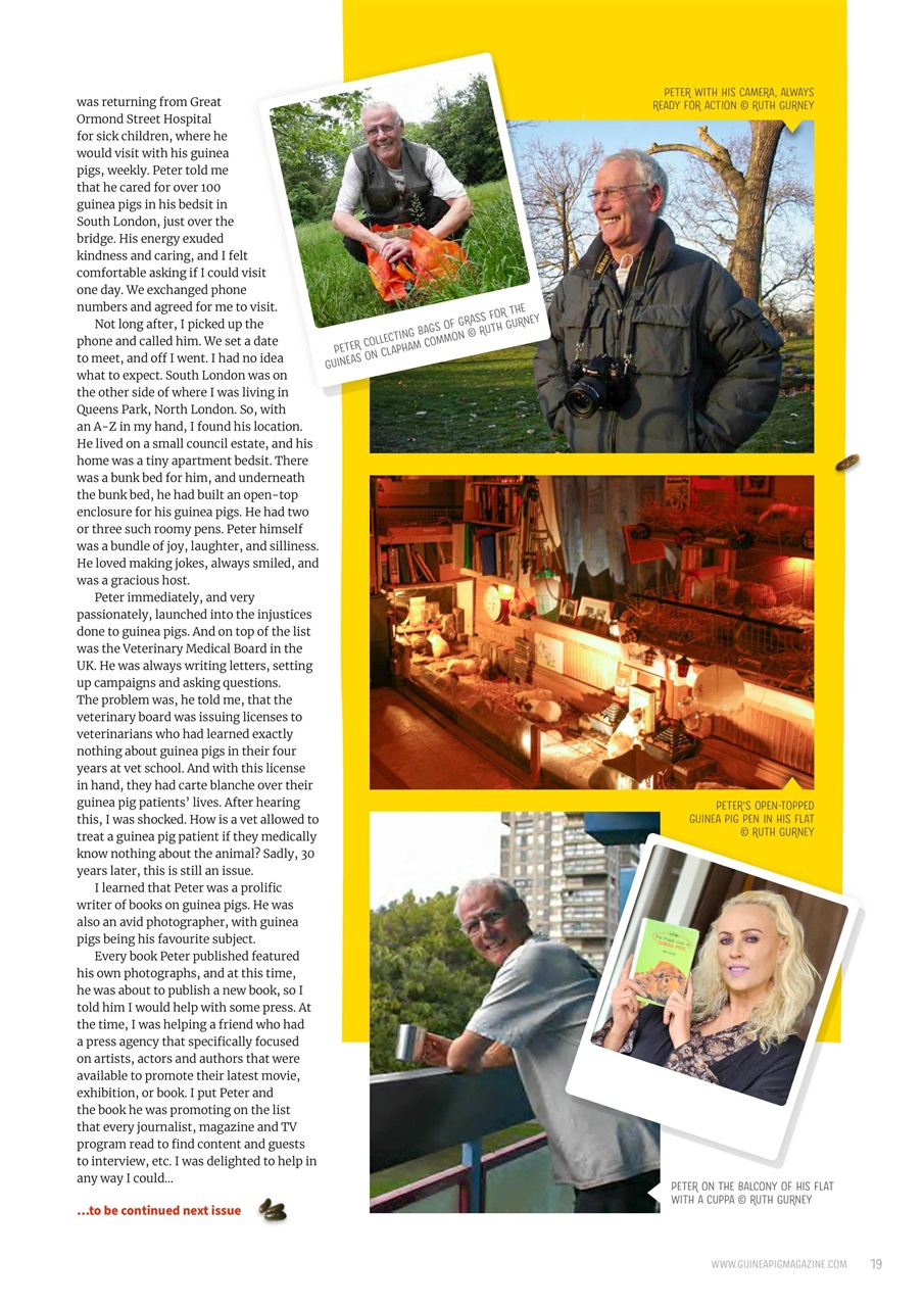 Guinea Pig Magazine Preview Pages
