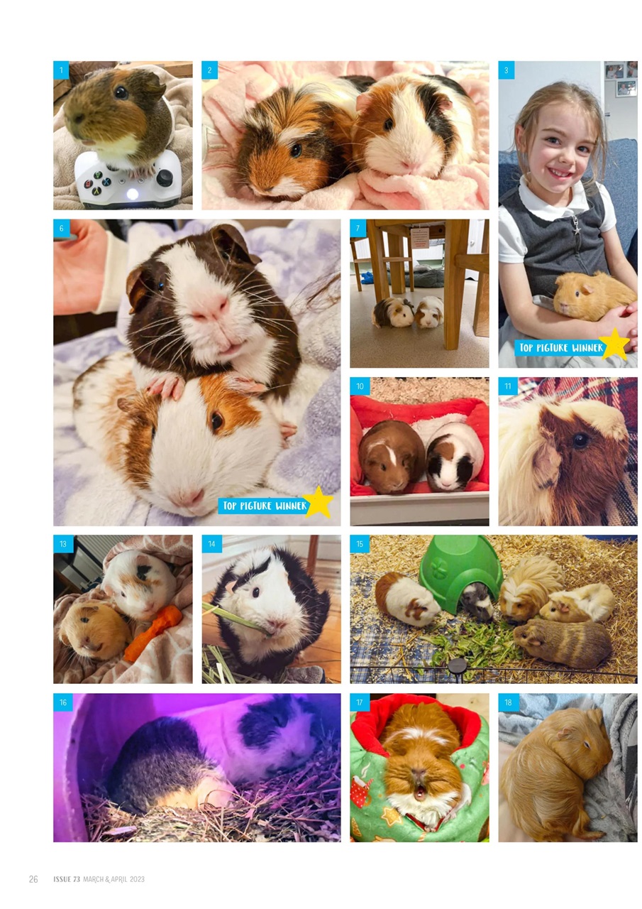 Guinea Pig Magazine Preview Pages