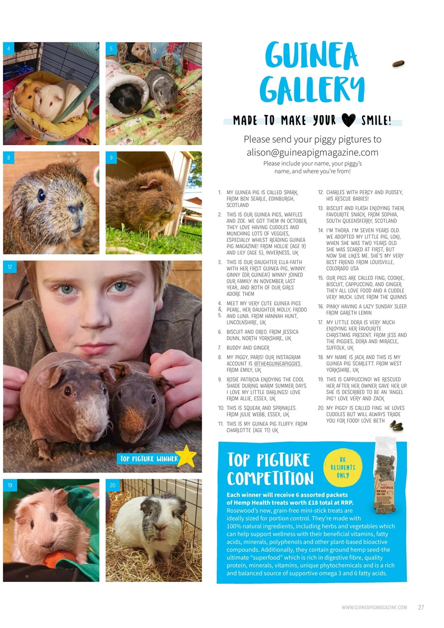 Guinea Pig Magazine Preview Pages