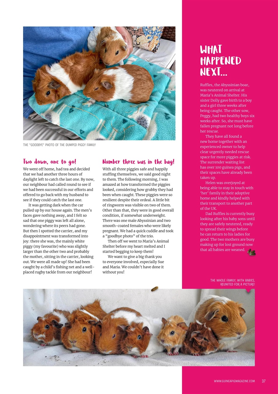Guinea Pig Magazine Preview Pages