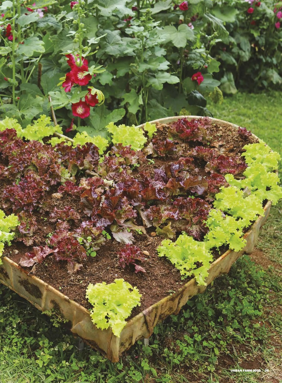 Hobby Farms Magazine Preview Pages