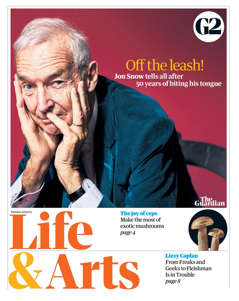 The Guardian Newspaper Preview Pages