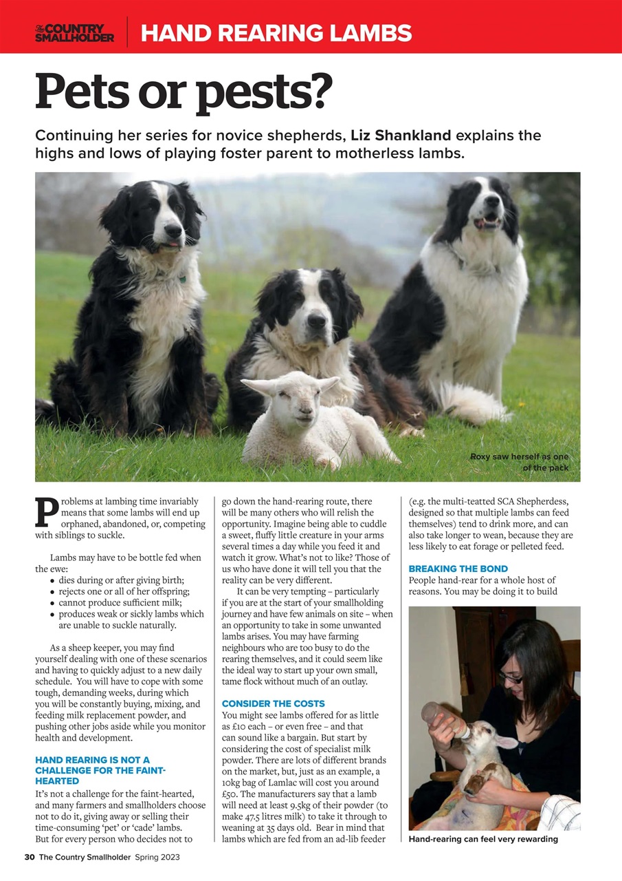 The Country Smallholder Preview Pages