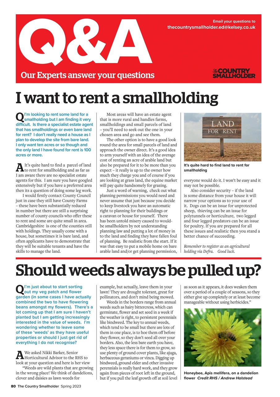 The Country Smallholder Preview Pages