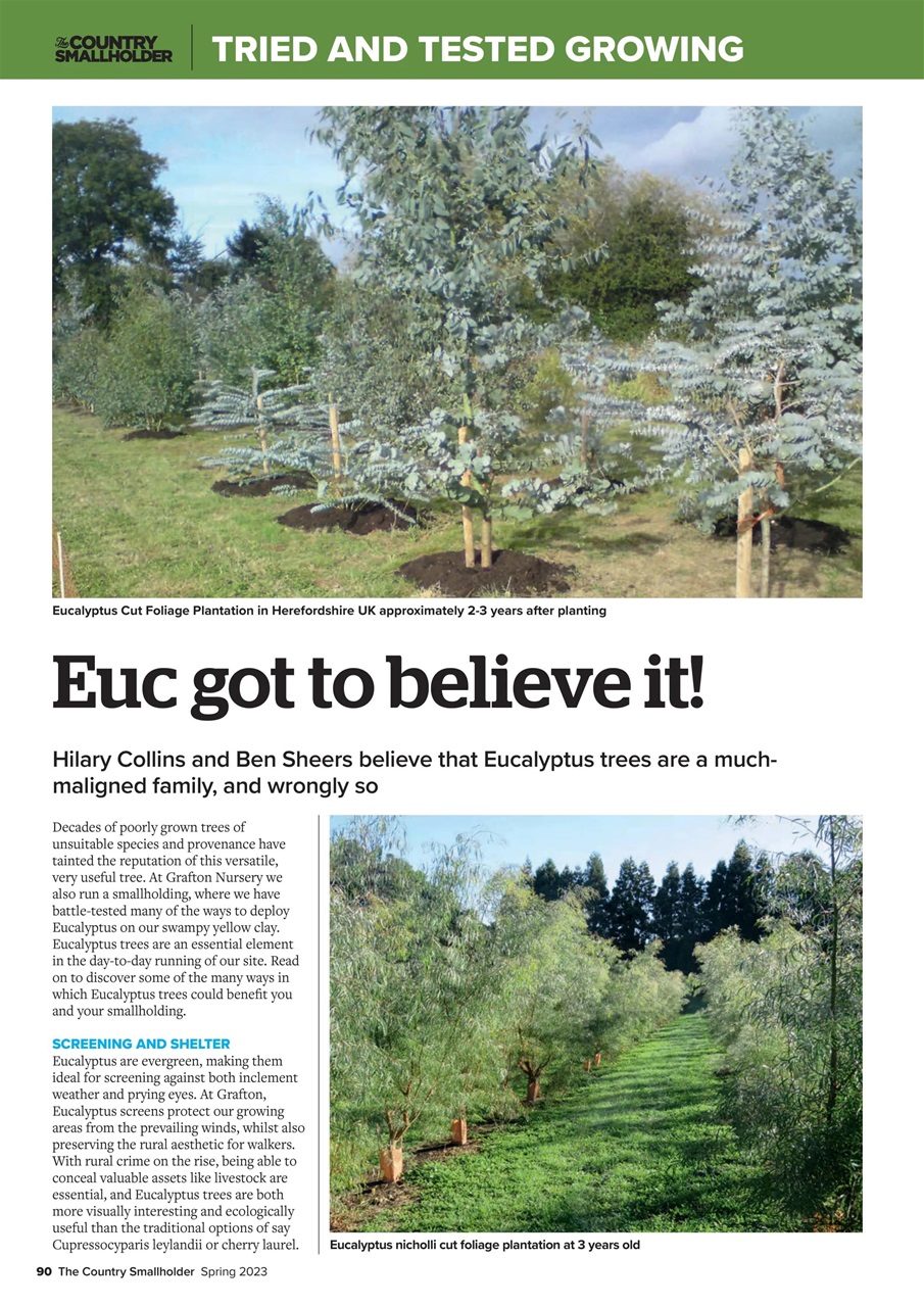 The Country Smallholder Preview Pages