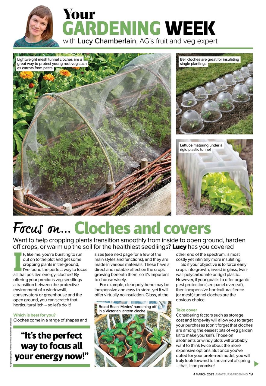 Amateur Gardening Preview Pages