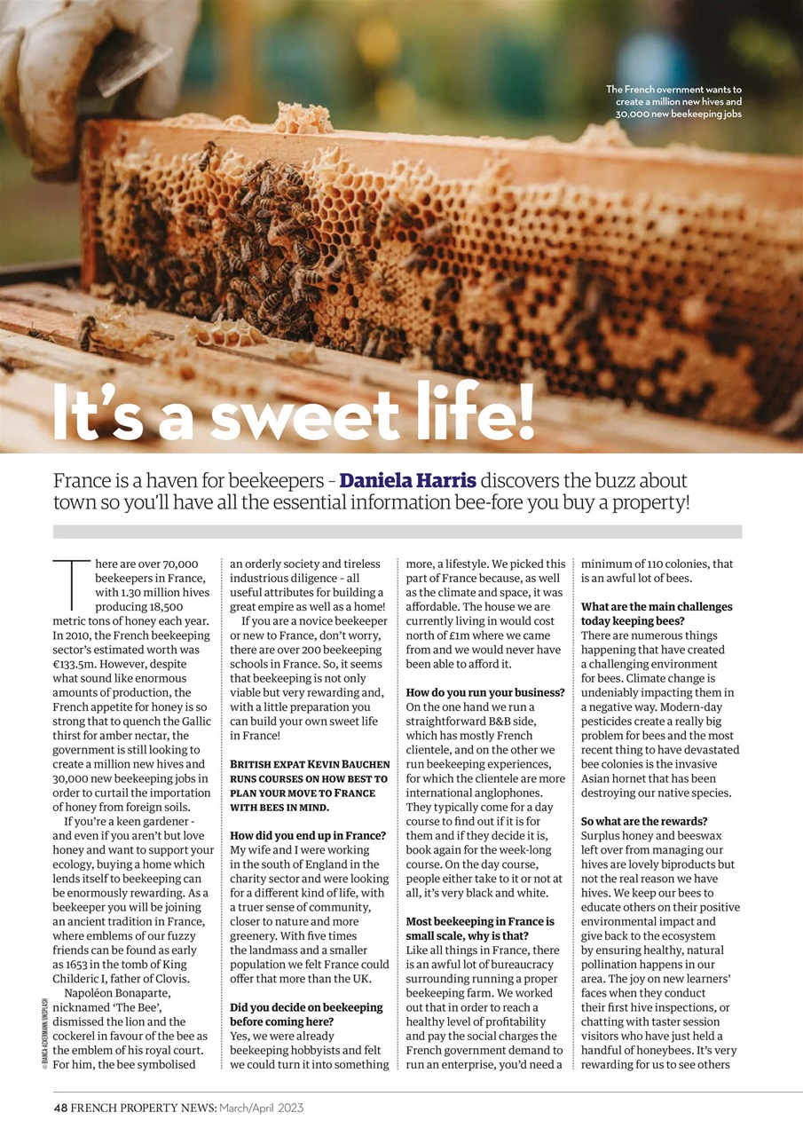 French Property News Preview Pages