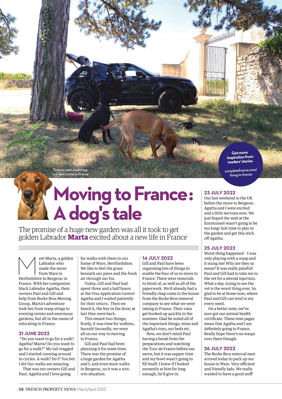 French Property News Preview Pages