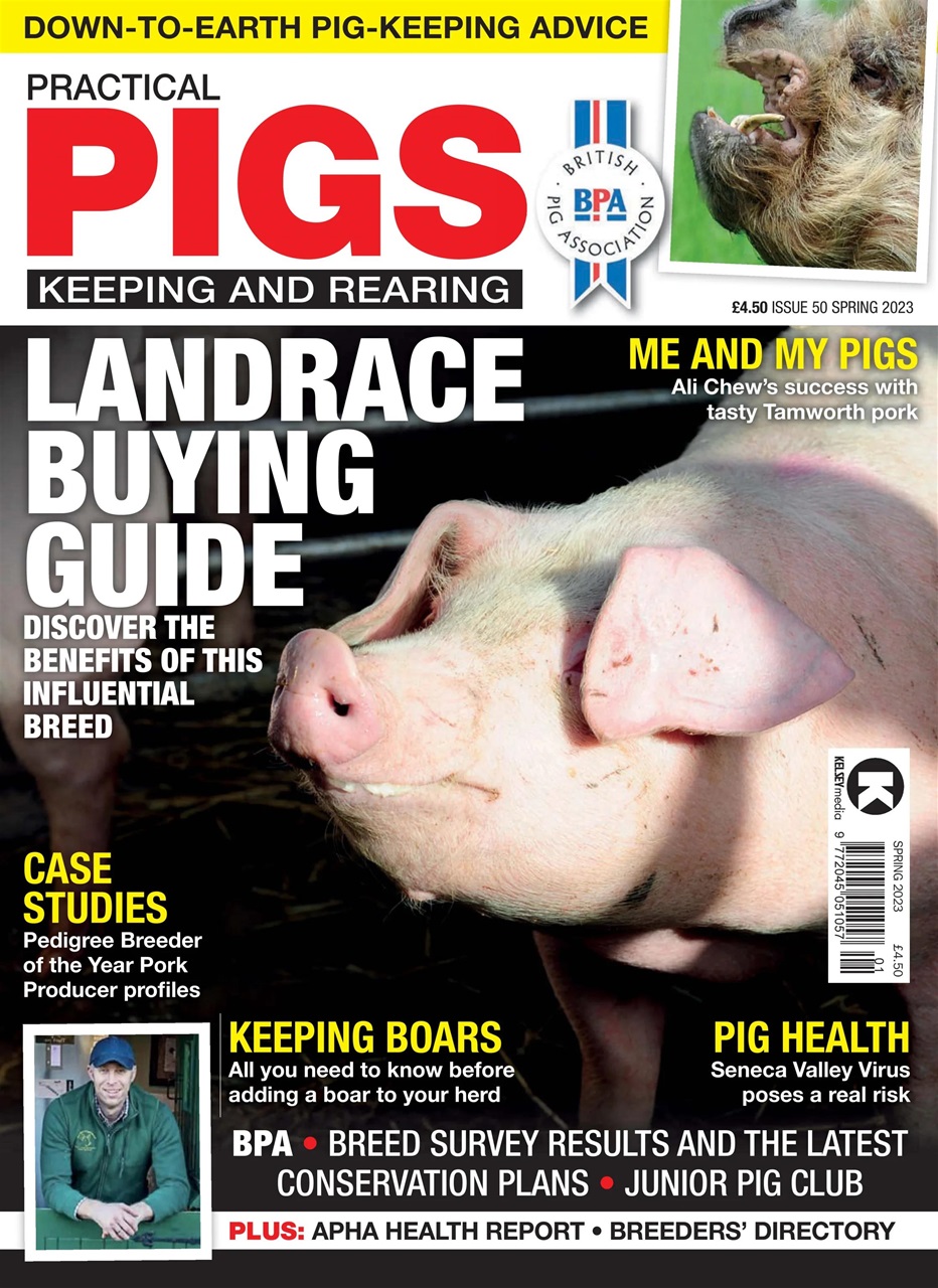 Practical Pigs Preview Pages