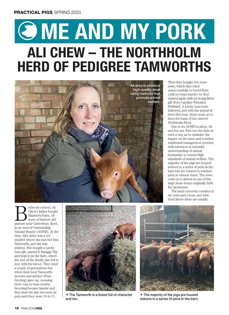 Practical Pigs Preview Pages