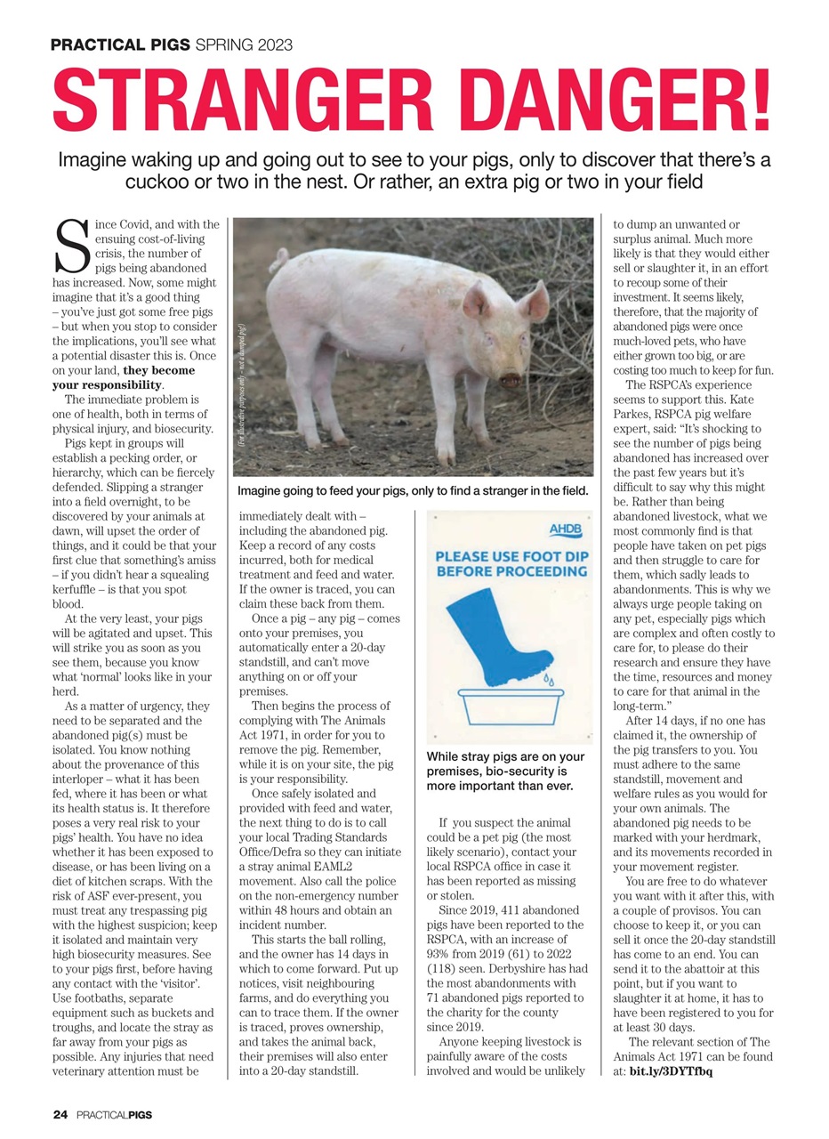 Practical Pigs Preview Pages