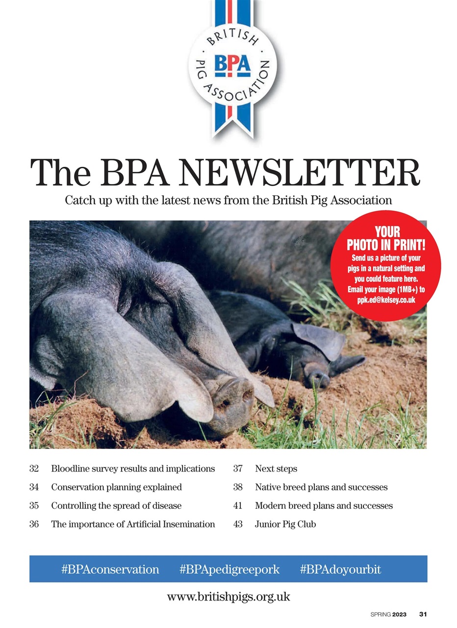 Practical Pigs Preview Pages