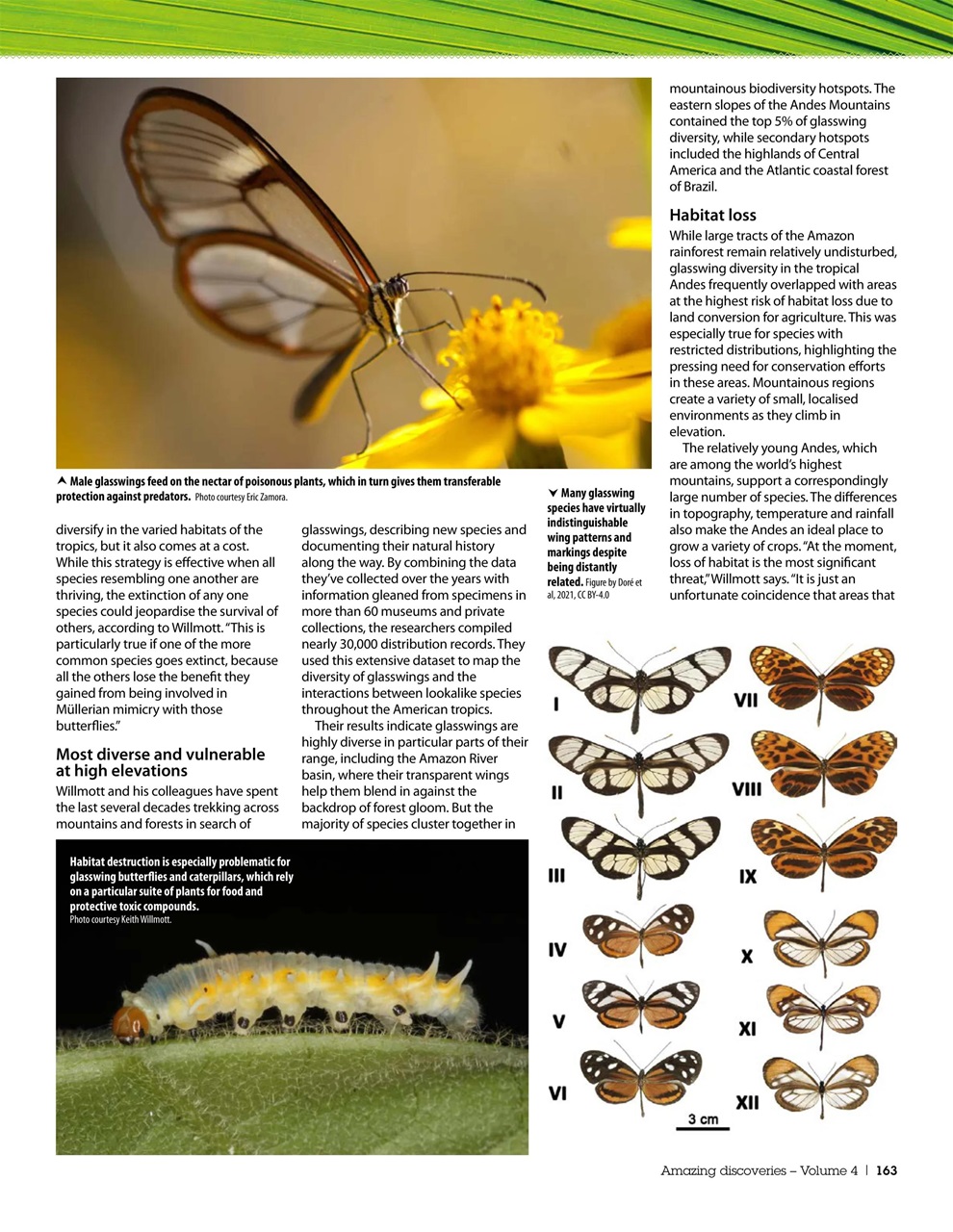 Practical Reptile Keeping Preview Pages