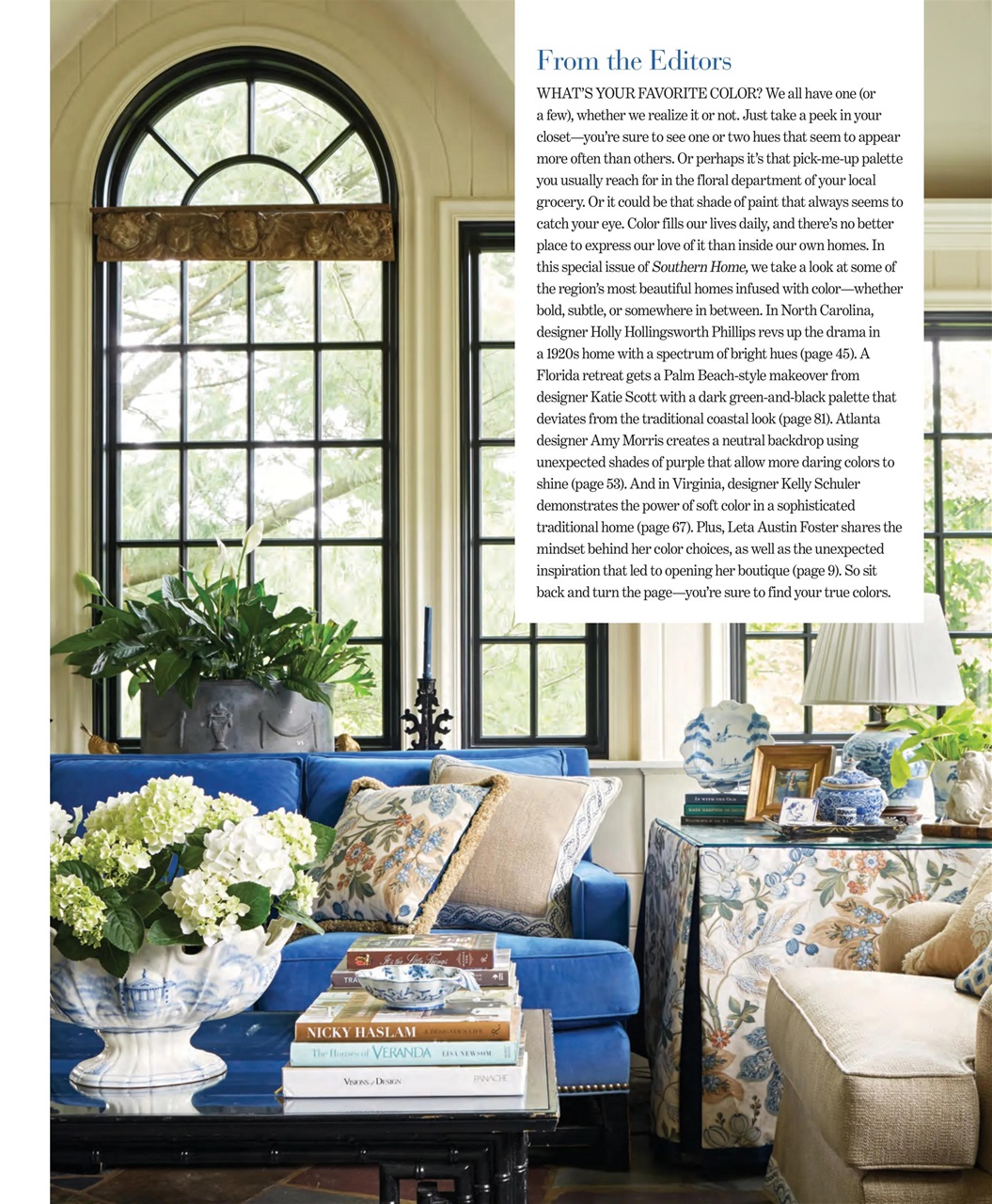 Southern Home Preview Pages