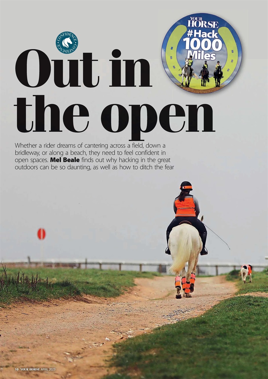 Your Horse Preview Pages