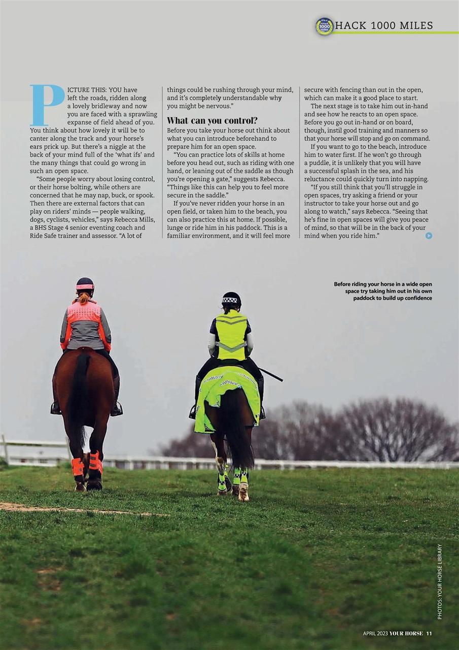 Your Horse Preview Pages