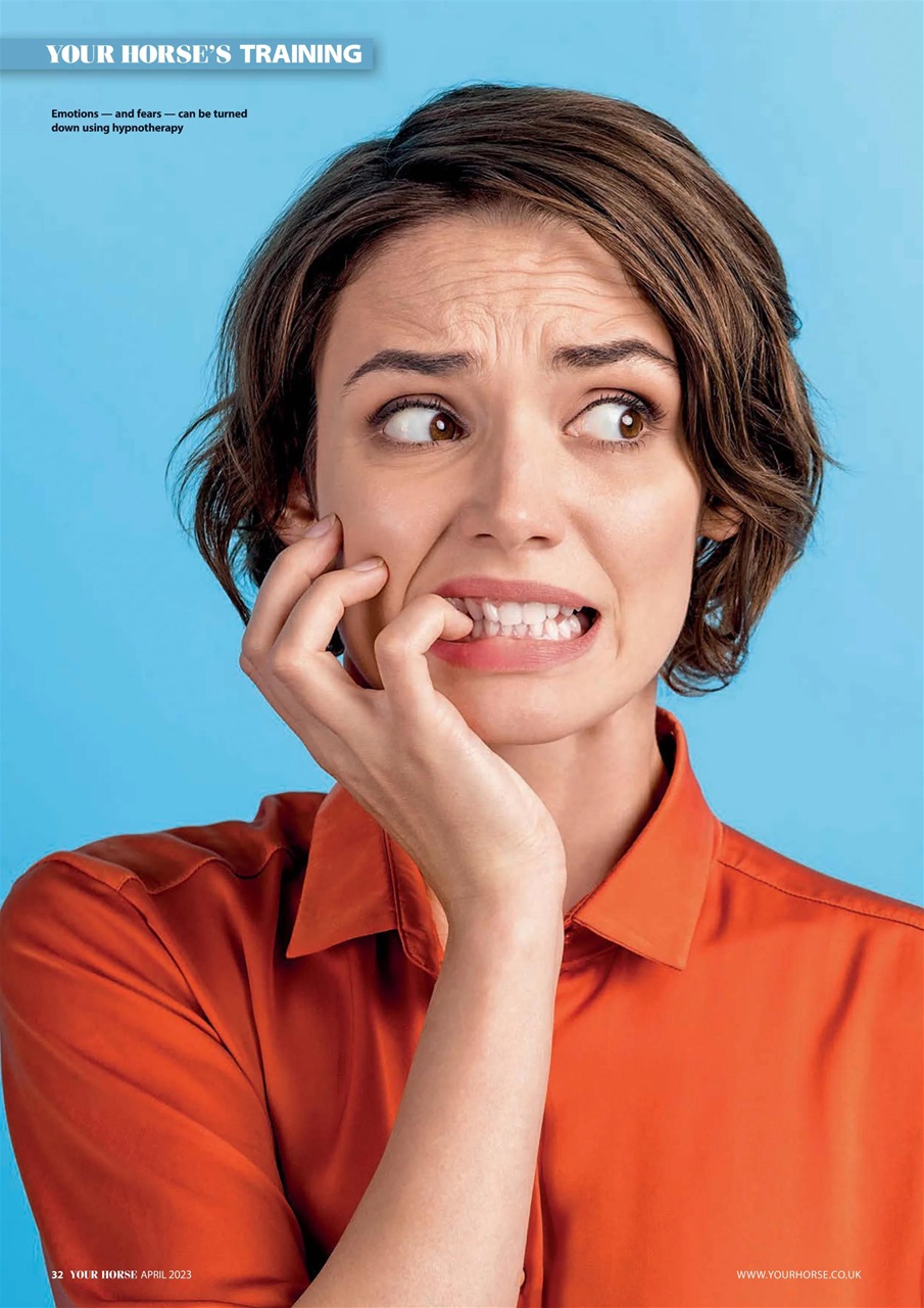 Your Horse Preview Pages