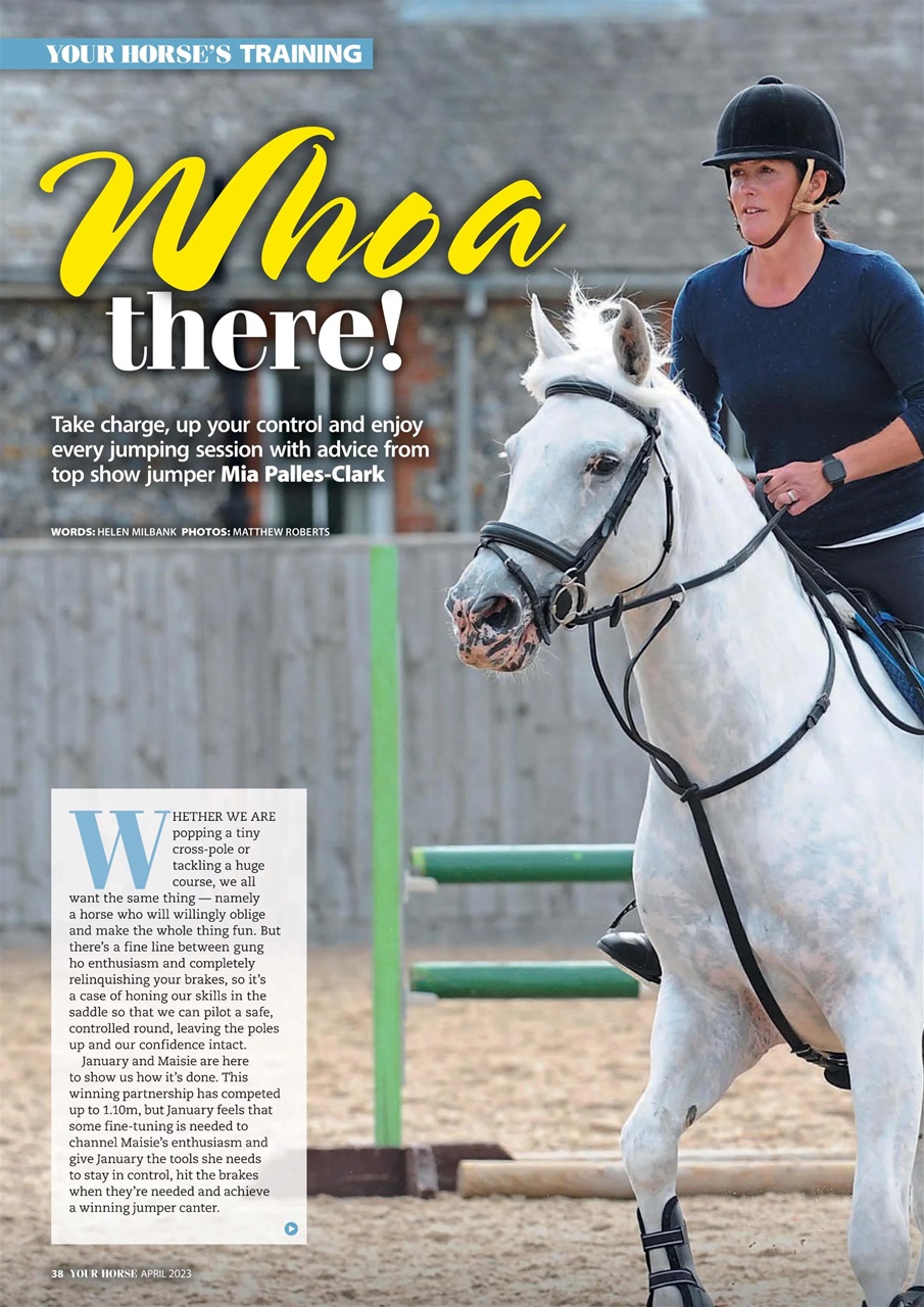 Your Horse Preview Pages