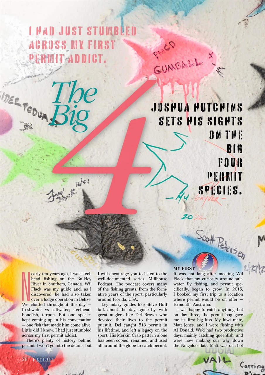 FlyLife Preview Pages