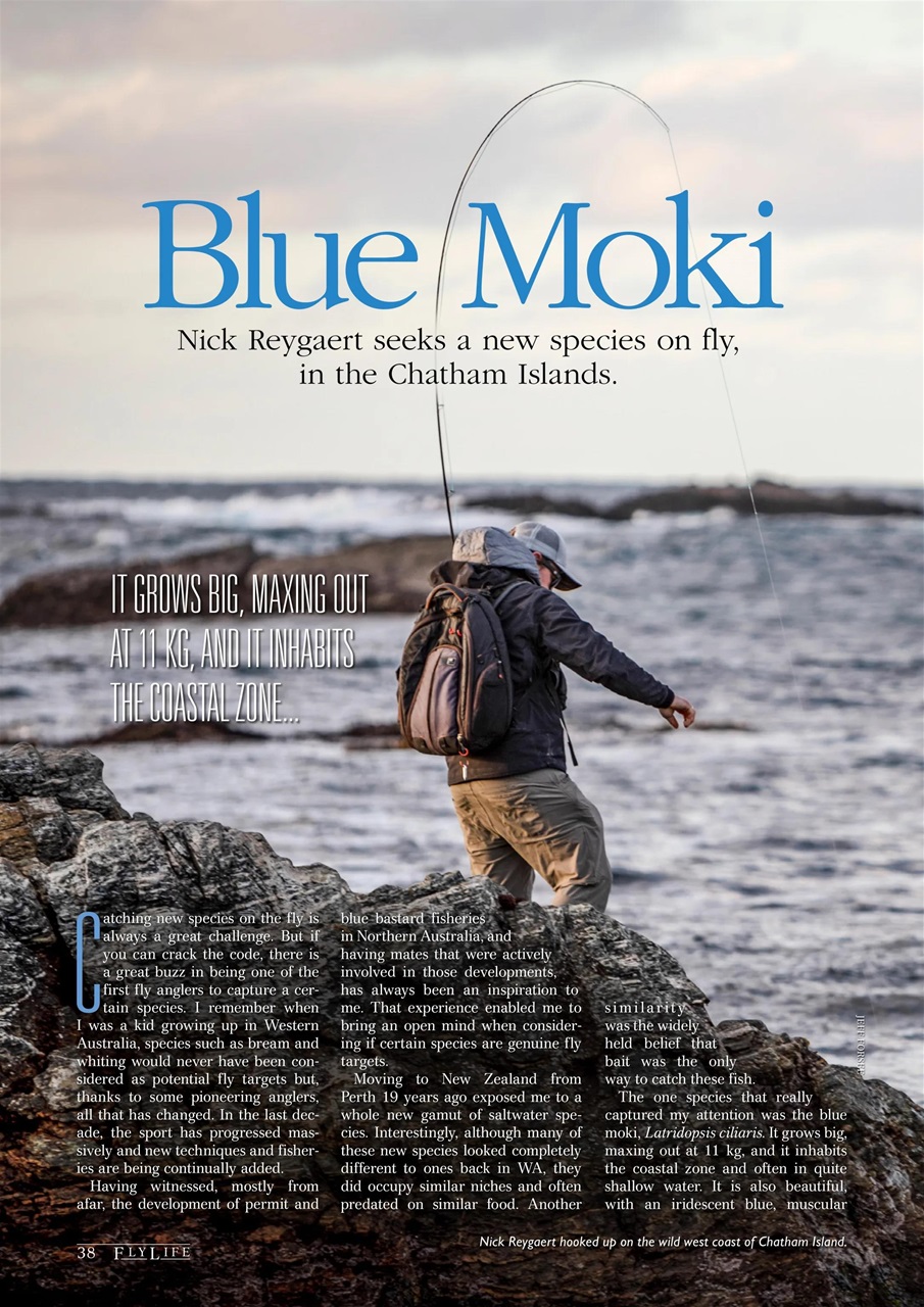 FlyLife Preview Pages