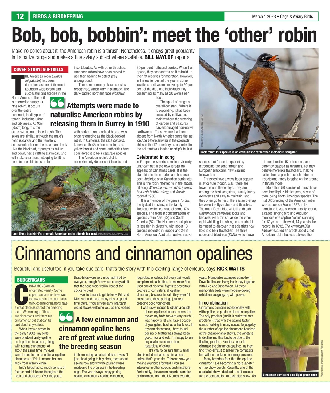 Cage & Aviary Birds Preview Pages