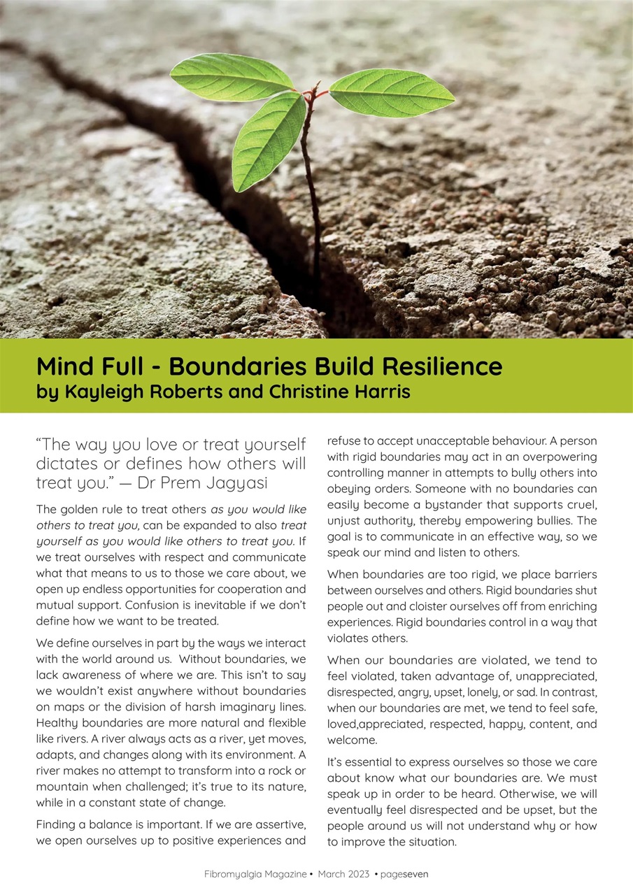 Fibromyalgia Magazine Preview Pages