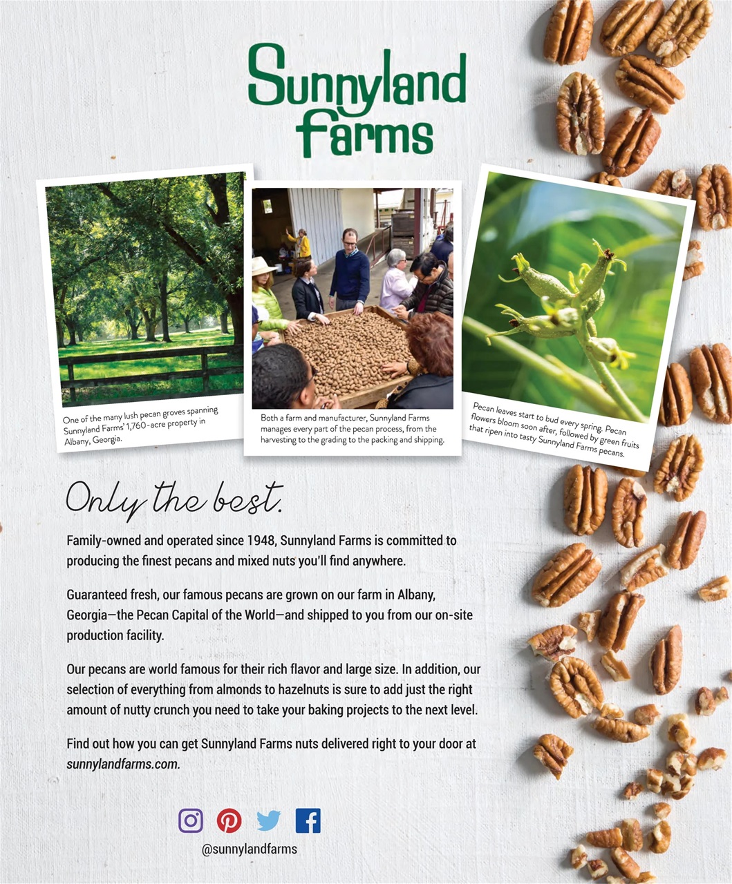 Bake from Scratch Preview Pages