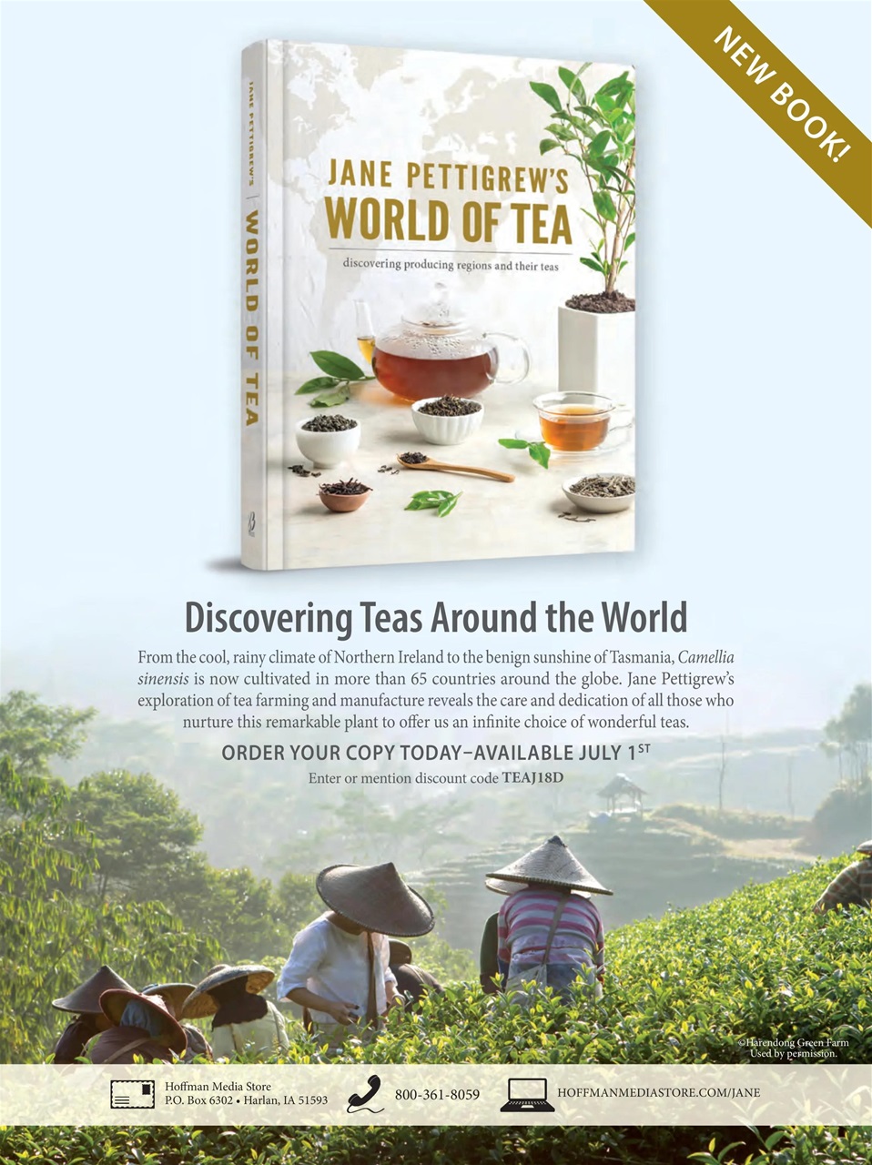 TeaTime Preview Pages