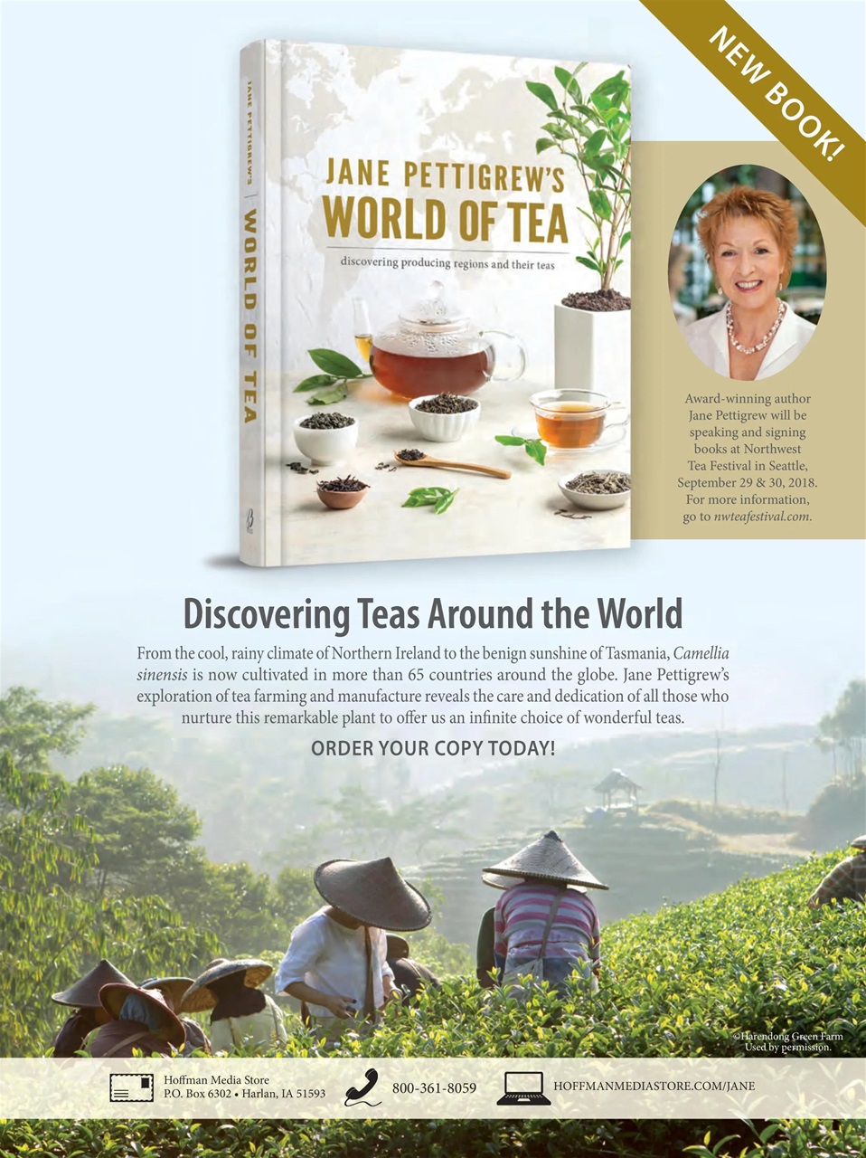 TeaTime Preview Pages