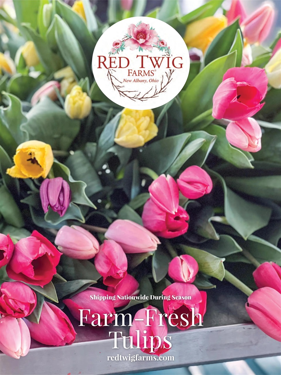 The Cottage Journal Preview Pages