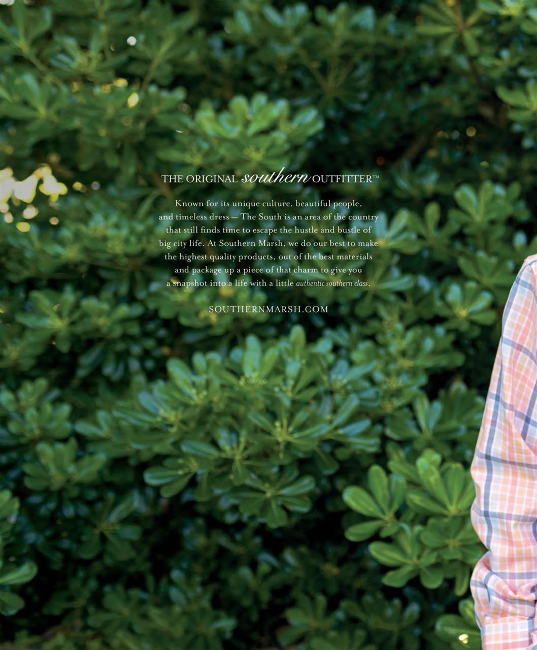Southern Lady Preview Pages