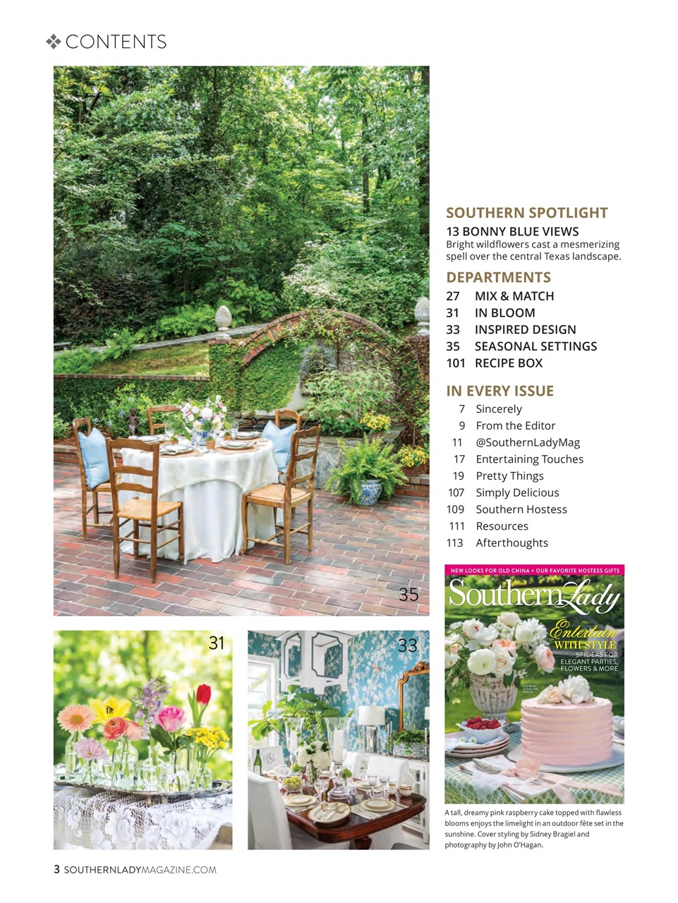 Southern Lady Preview Pages