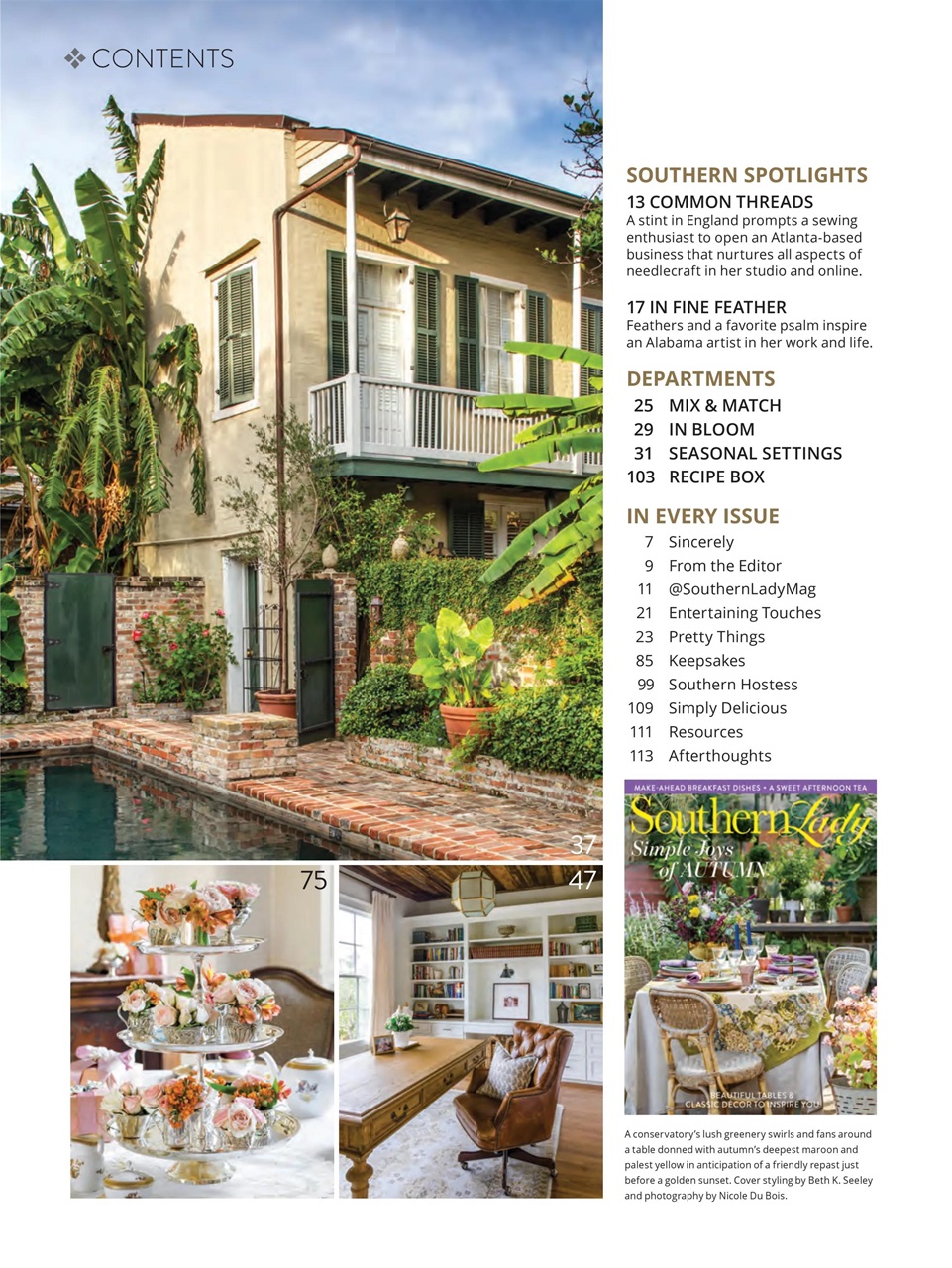 Southern Lady Preview Pages
