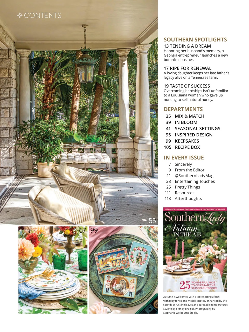 Southern Lady Preview Pages