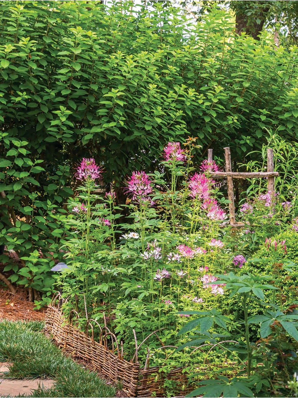 Southern Lady Preview Pages