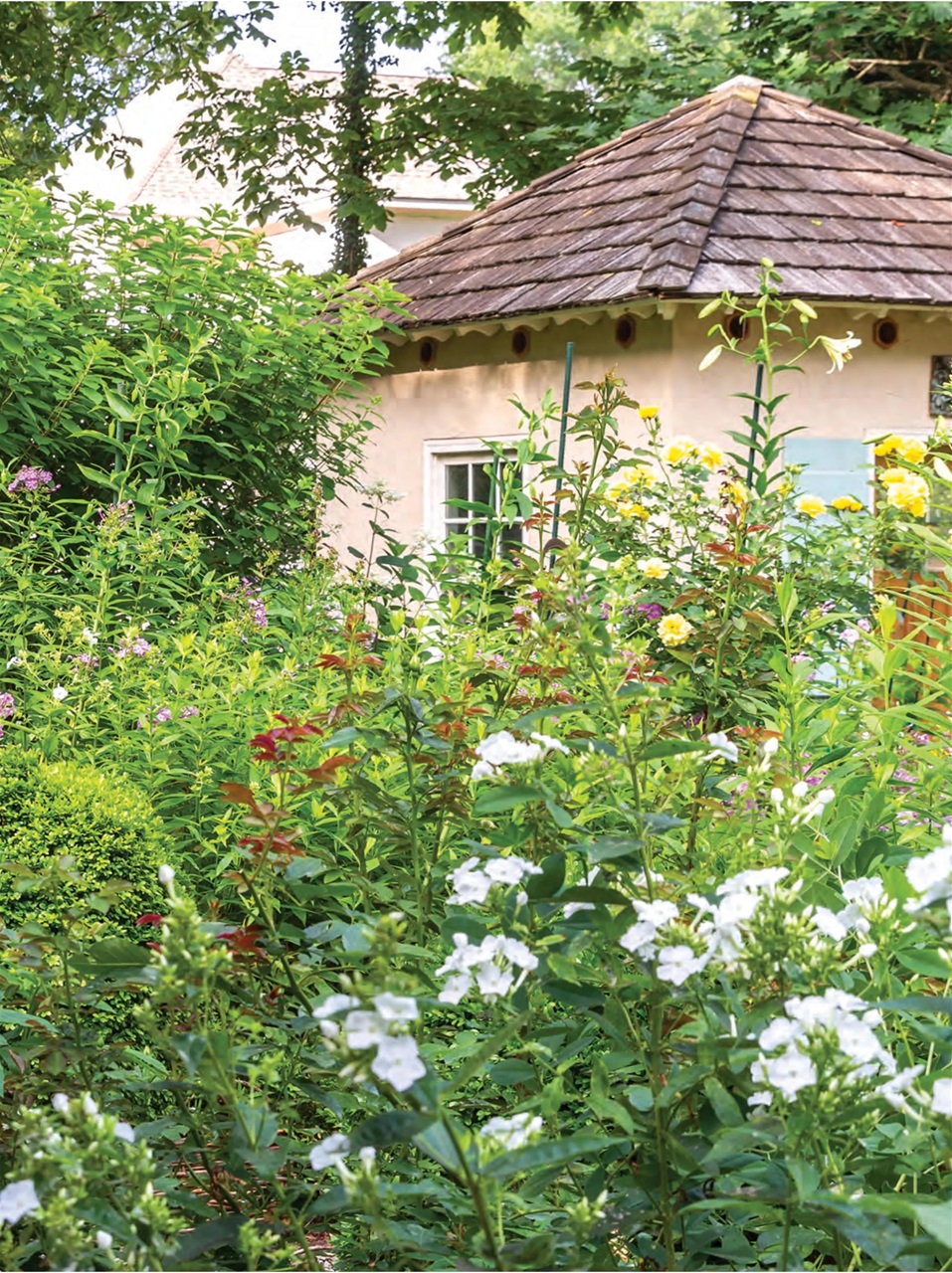 Southern Lady Preview Pages