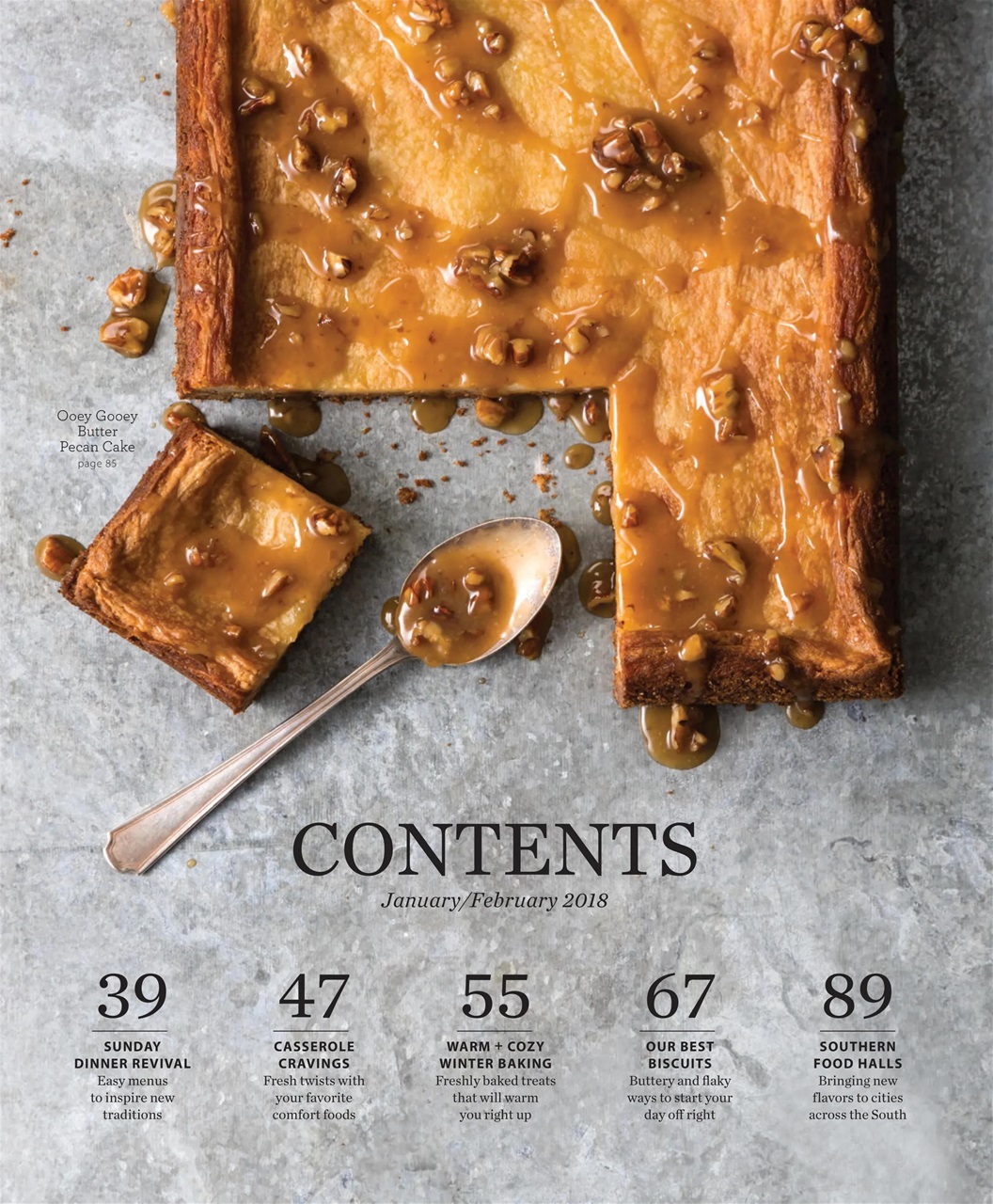 Taste of the South Preview Pages