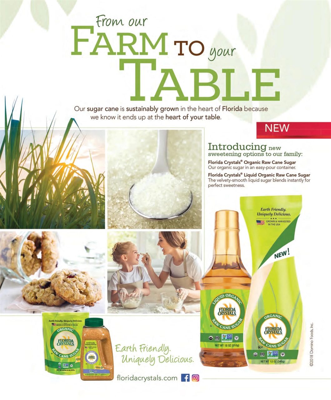 Taste of the South Preview Pages