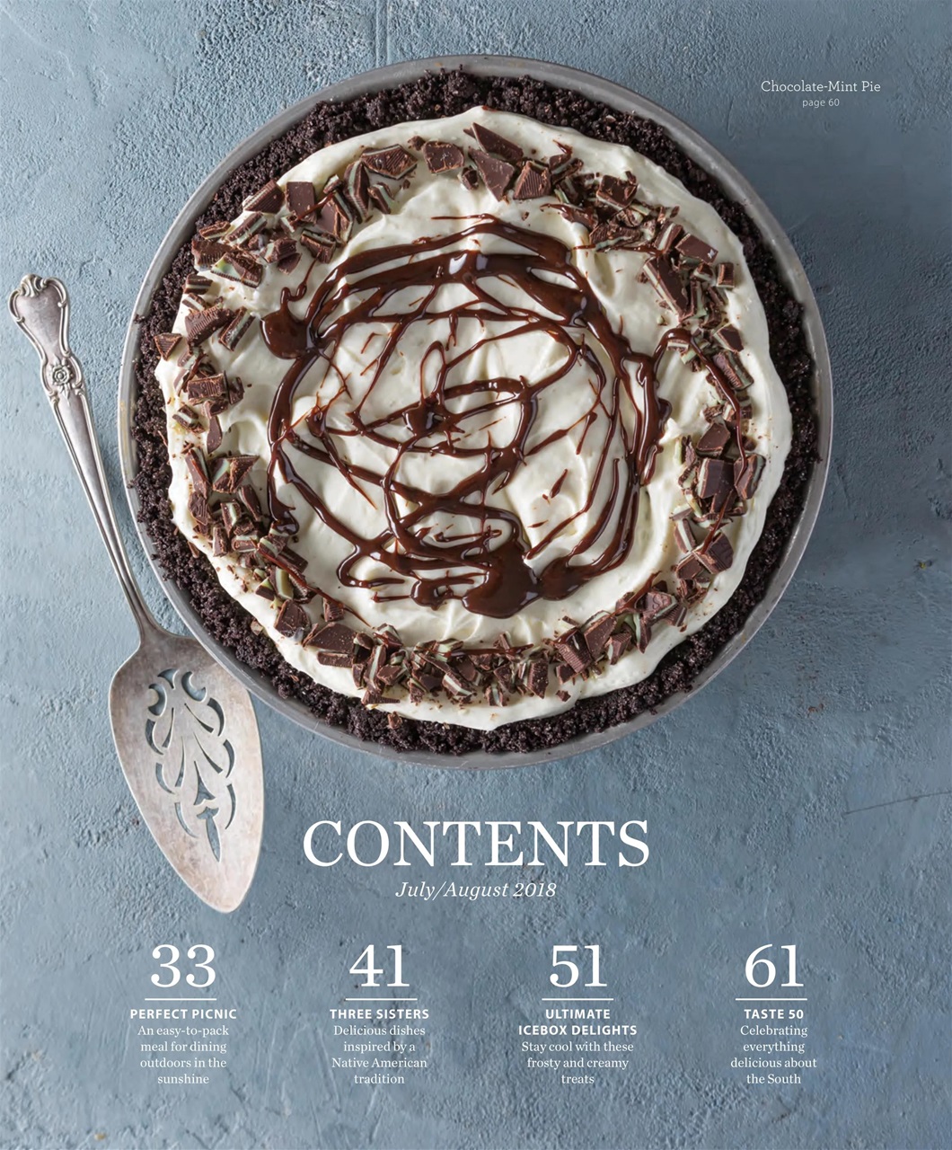 Taste of the South Preview Pages